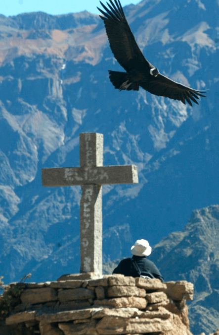 Colca Canyon 2D/1N